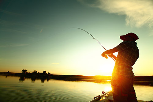 Catch a Fish at Martin's Point